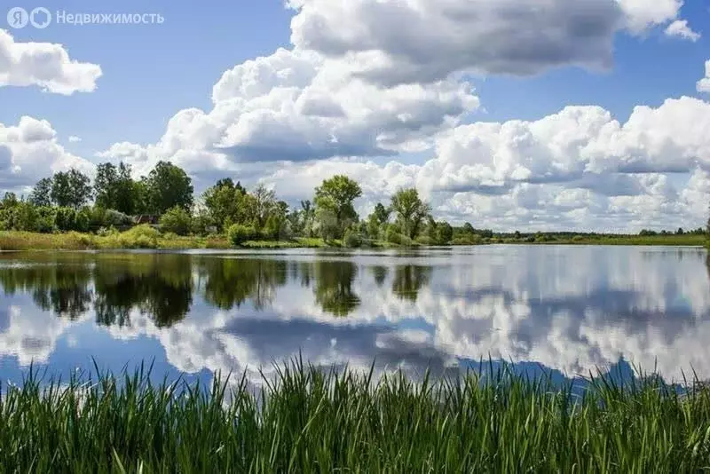 Участок в посёлок Фазанный, Юбилейная улица (1670.34 м) - Фото 2