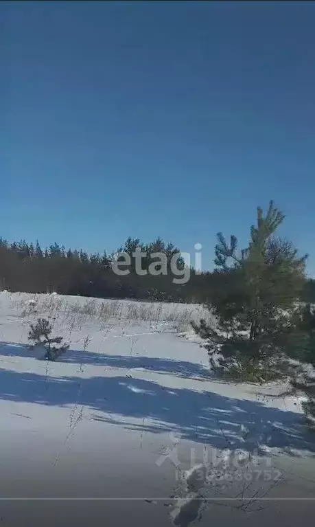 Участок в Воронежская область, с. Новая Усмань ул. Октябрьская (12.0 ... - Фото 1