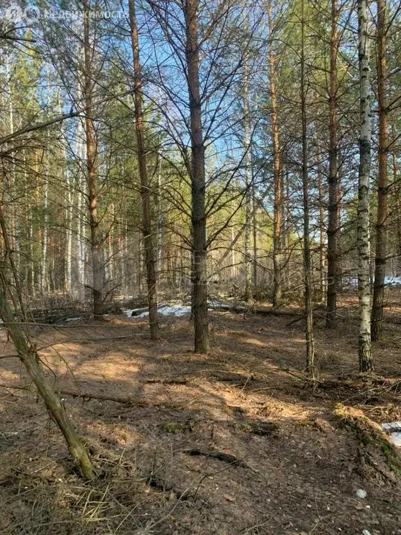 Участок в Тюменский район, село Успенка (15 м) - Фото 1