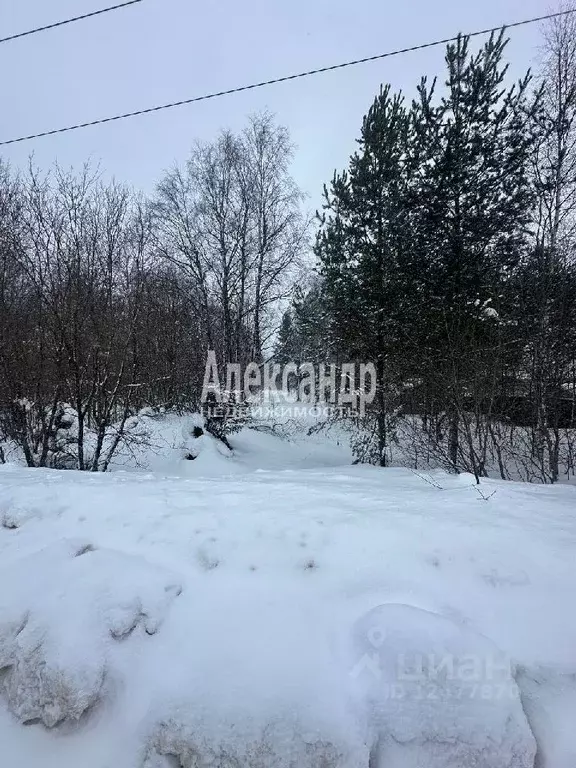 Участок в Ленинградская область, Бокситогорский район, Самойловское ... - Фото 0