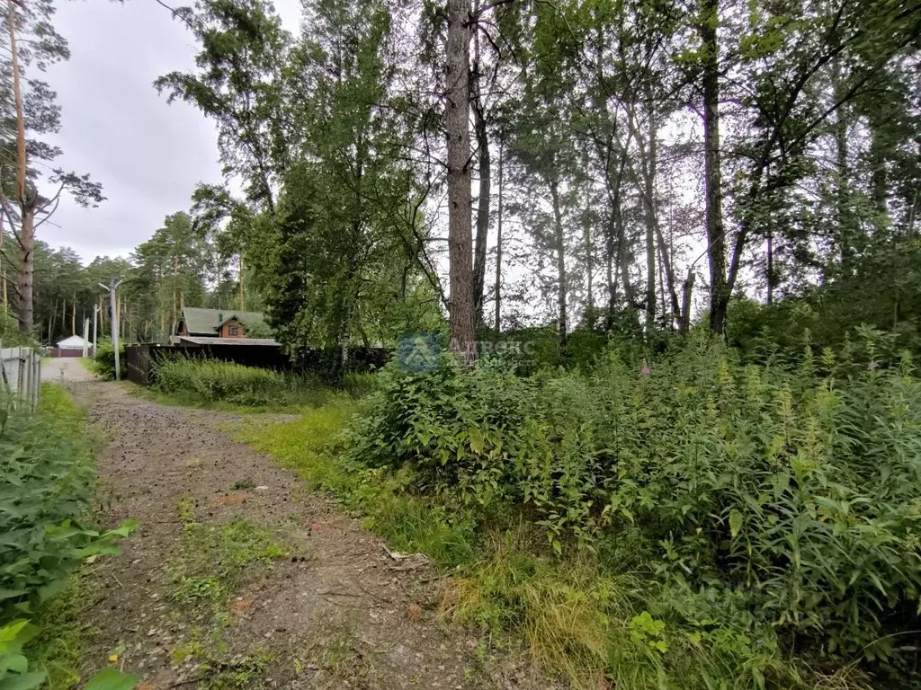 Участок в Тюменская область, Тюменский район, с. Перевалово Заречная ... - Фото 1