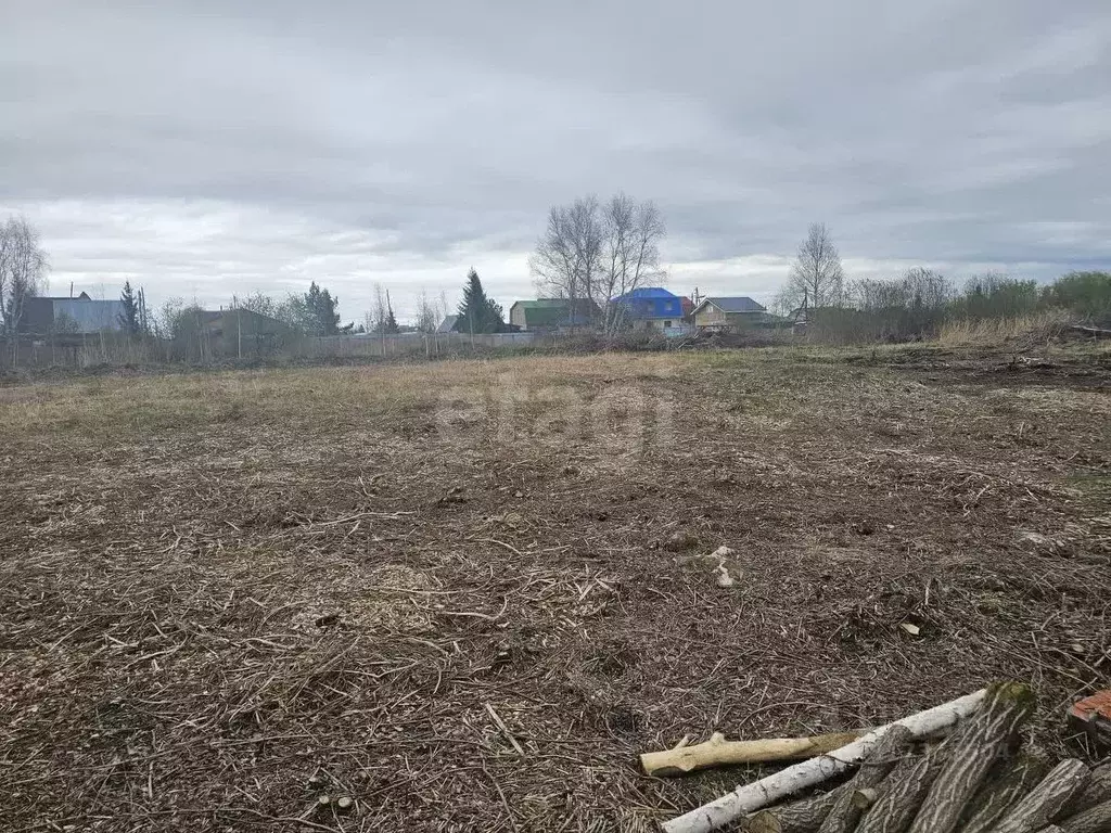 Участок в Тюменская область, Тюмень Ясень садовое товарищество, ул. ... - Фото 1