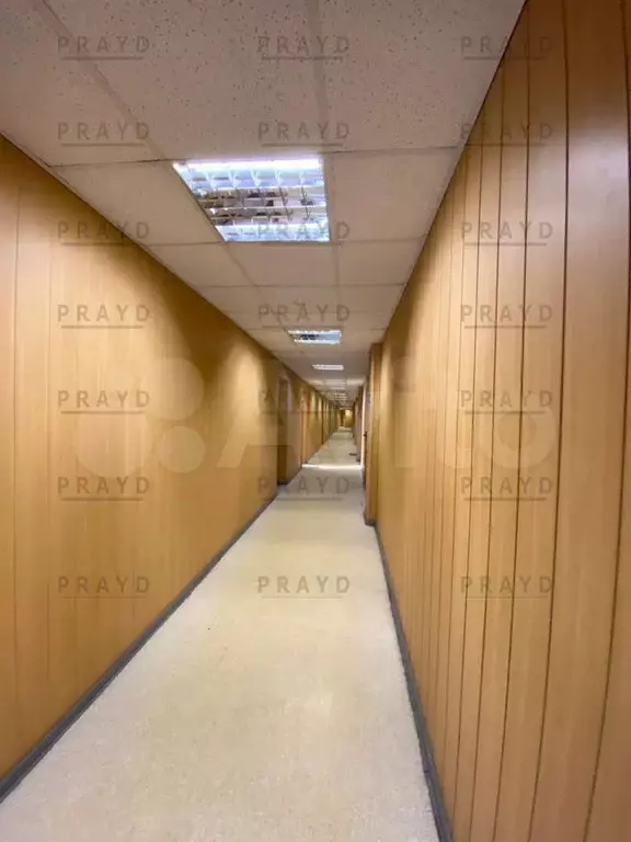 Офис, 20.5 м Андроновка - Фото 1