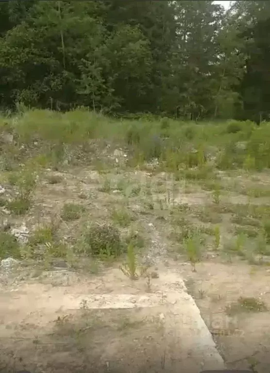 Участок в Брянская область, Жуковский муниципальный округ, с. Ржаница ... - Фото 1