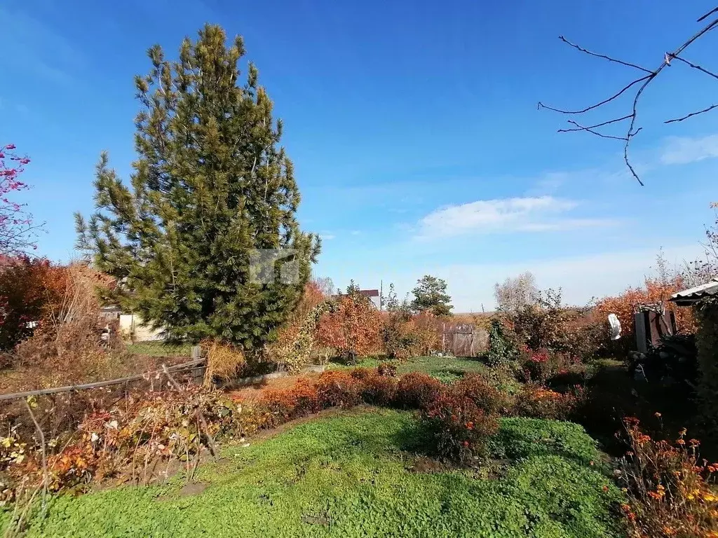 Участок в Алтайский край, Барнаул Купинская ул., 23 (14.8 сот.) - Фото 2