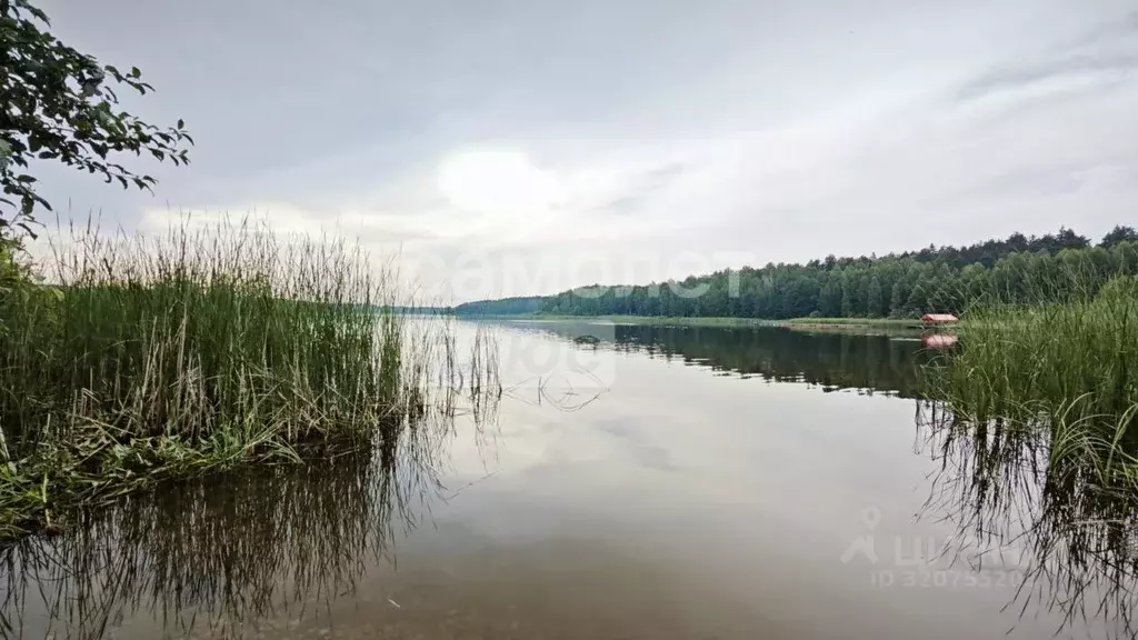 Участок в Нижегородская область, Чкаловск муниципальный округ, д. ... - Фото 0