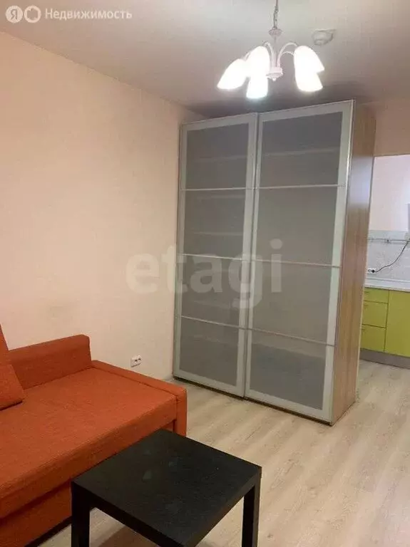 Квартира-студия: посёлок Парголово, улица Михаила Дудина, 12 (27.2 м) - Фото 2