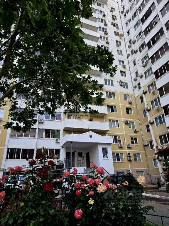 2-к кв. Краснодарский край, Новороссийск ул. Бориса Пупко, 8 (62.0 м) - Фото 0