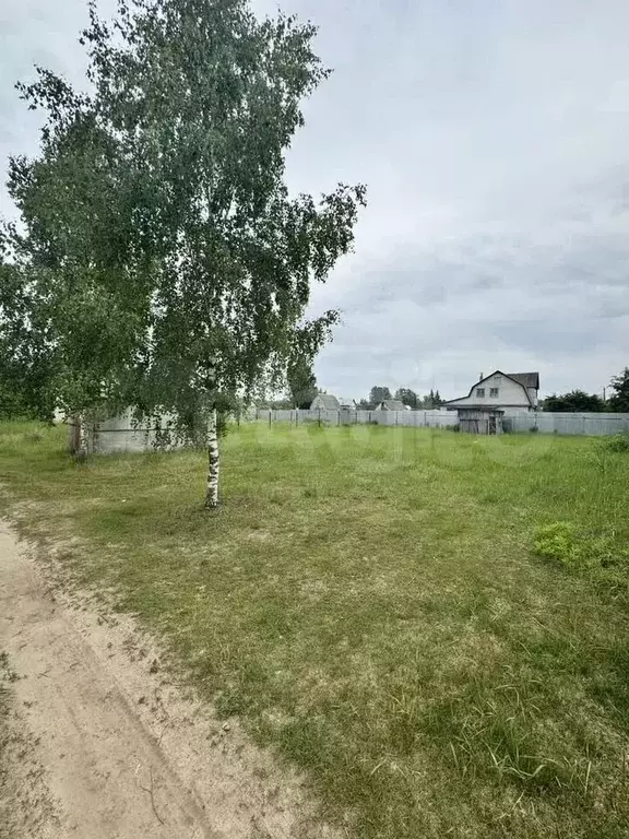 Участок 6 сот. (СНТ, ДНП) - Фото 0