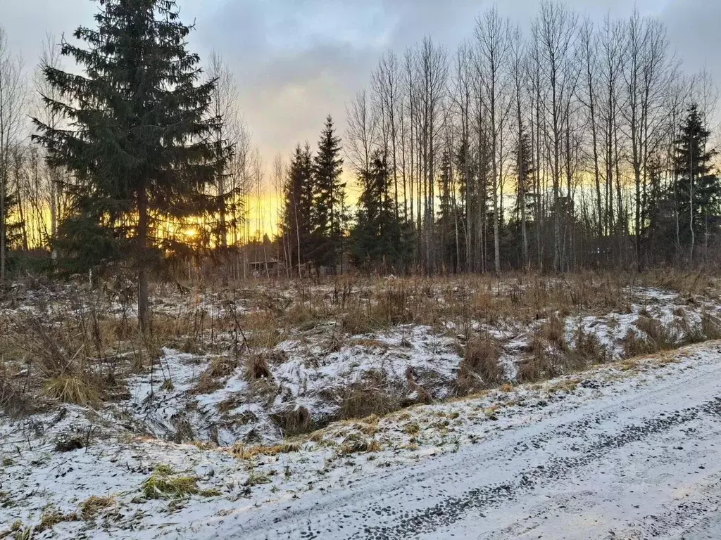 Участок в Ленинградская область, Киришский район, Кусинское с/пос, ... - Фото 1