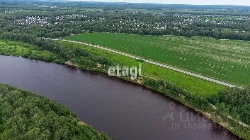 Участок в Тюменская область, Тюмень Верхнеборское ДНТ,  (7.5 сот.) - Фото 1