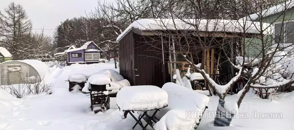 Участок в Ярославская область, Рыбинск Володарец СНТ, 109 (5.0 сот.) - Фото 1