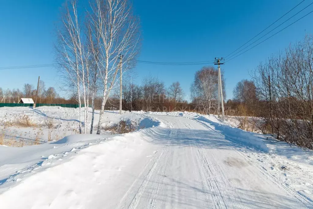 Участок в Тюменская область, Нижнетавдинский муниципальный округ, ... - Фото 1