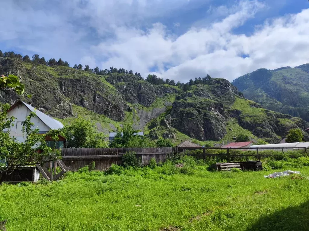 Дом в Алтай, Чемальский район, с. Чемал Луговая ул. (64 м) - Фото 1