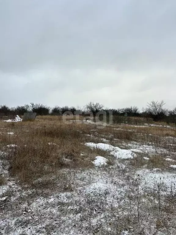 Участок в Белгородская область, Белгородский район, Беловское с/пос, ... - Фото 0
