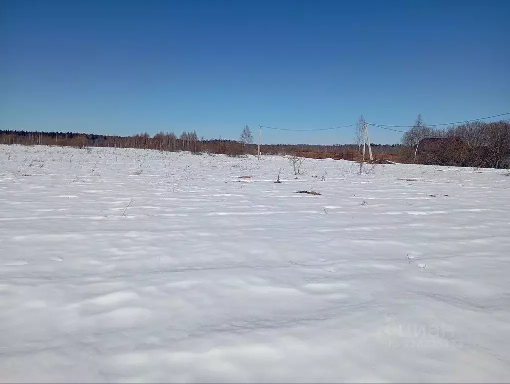 Участок в Московская область, Талдомский городской округ, д. Костино  ... - Фото 2