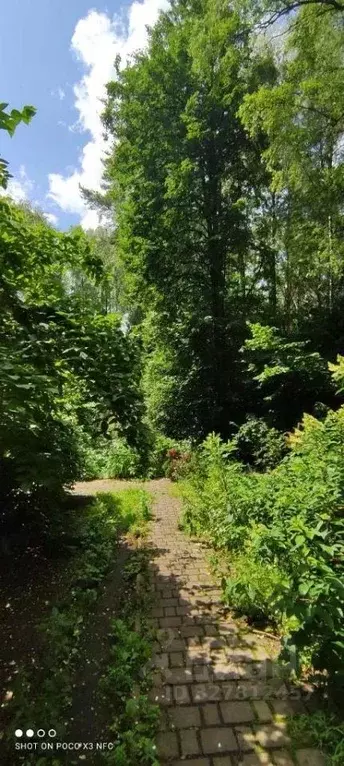 Участок в Московская область, Одинцовский городской округ, д. ... - Фото 1