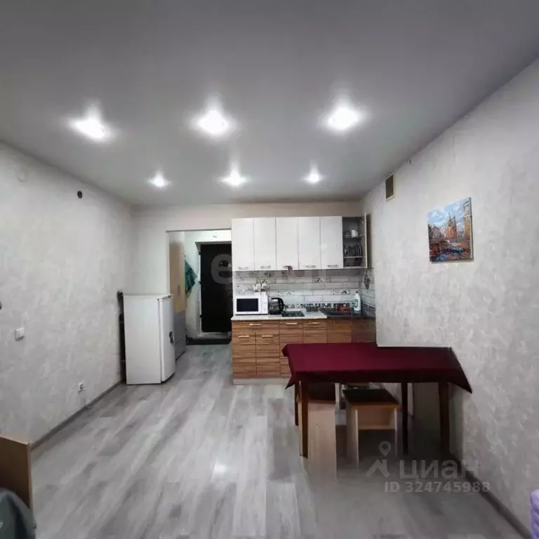 Студия Вологодская область, Вологда ул. Чернышевского, 137 (24.0 м) - Фото 2