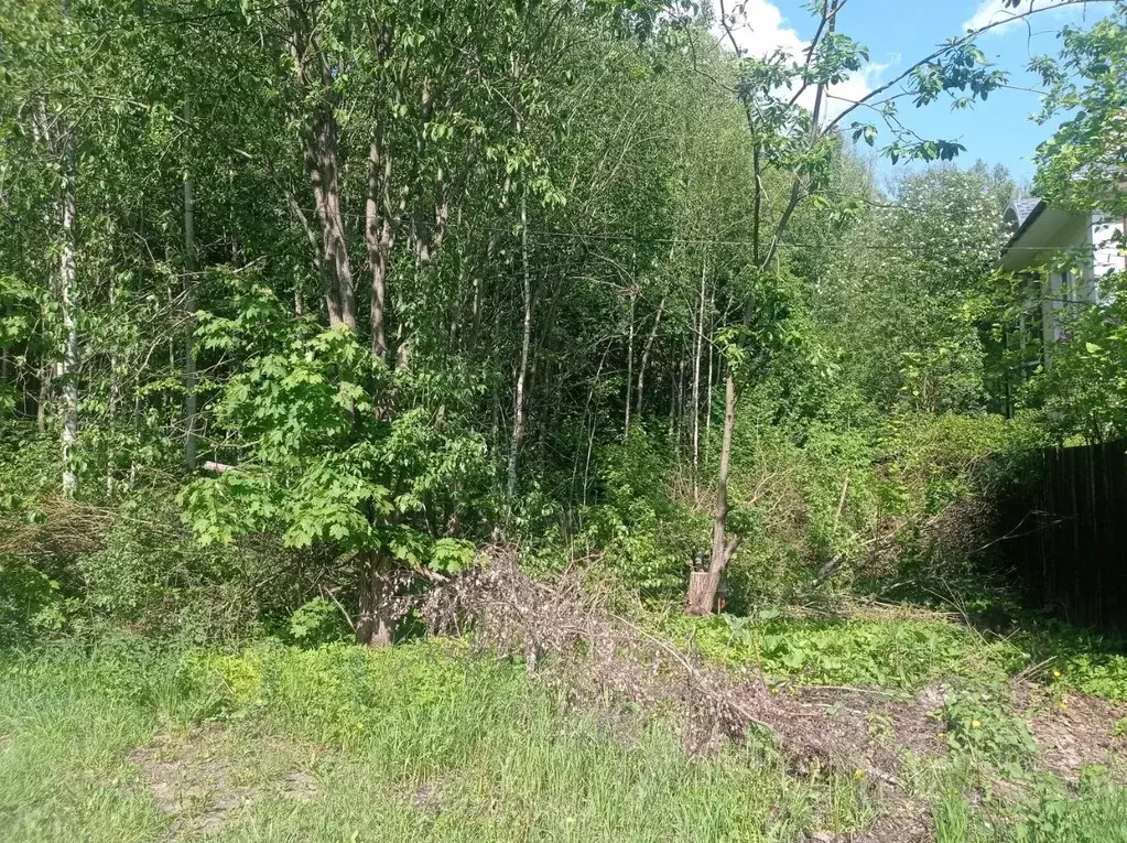 Участок в Москва пос. Абабурово, ул. Ломоносова (12.0 сот.) - Фото 1