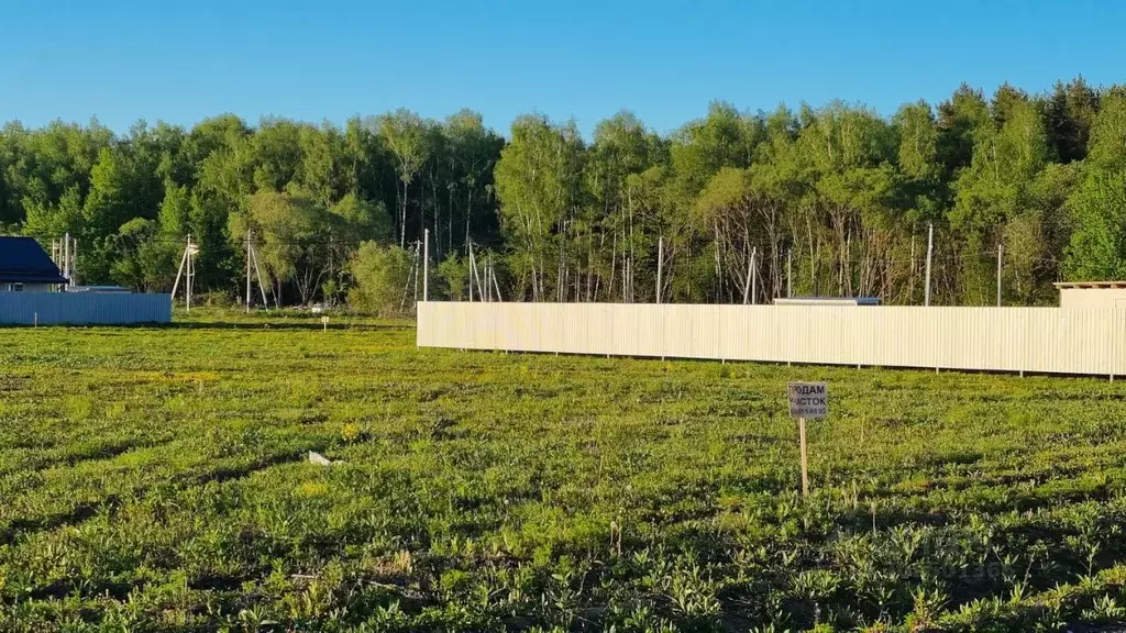 Участок в Московская область, Домодедово городской округ, д. Матчино, ... - Фото 0