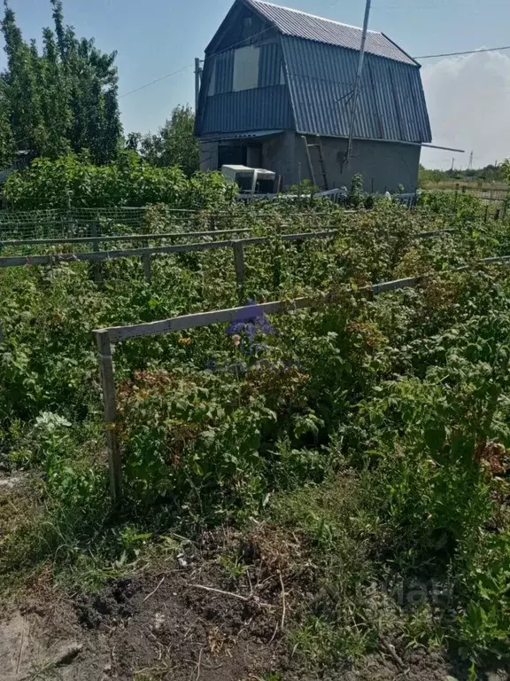 Дом в Ростовская область, Песчанокопский район, Развильненское с/пос, ... - Фото 1