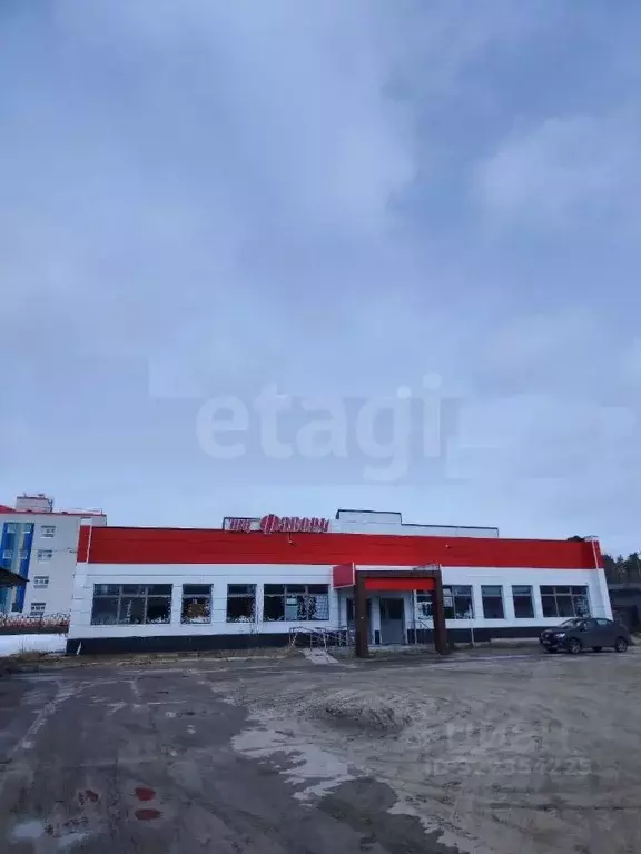 Помещение свободного назначения в Ямало-Ненецкий АО, Муравленко ... - Фото 1