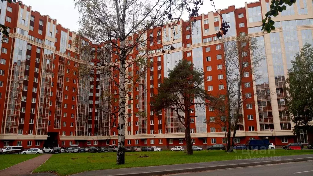 Студия Ленинградская область, Мурино Всеволожский район, Оборонная ... - Фото 1