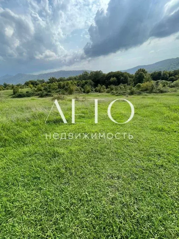 Участок в Краснодарский край, Сочи городской округ, с. Красная Воля ... - Фото 1