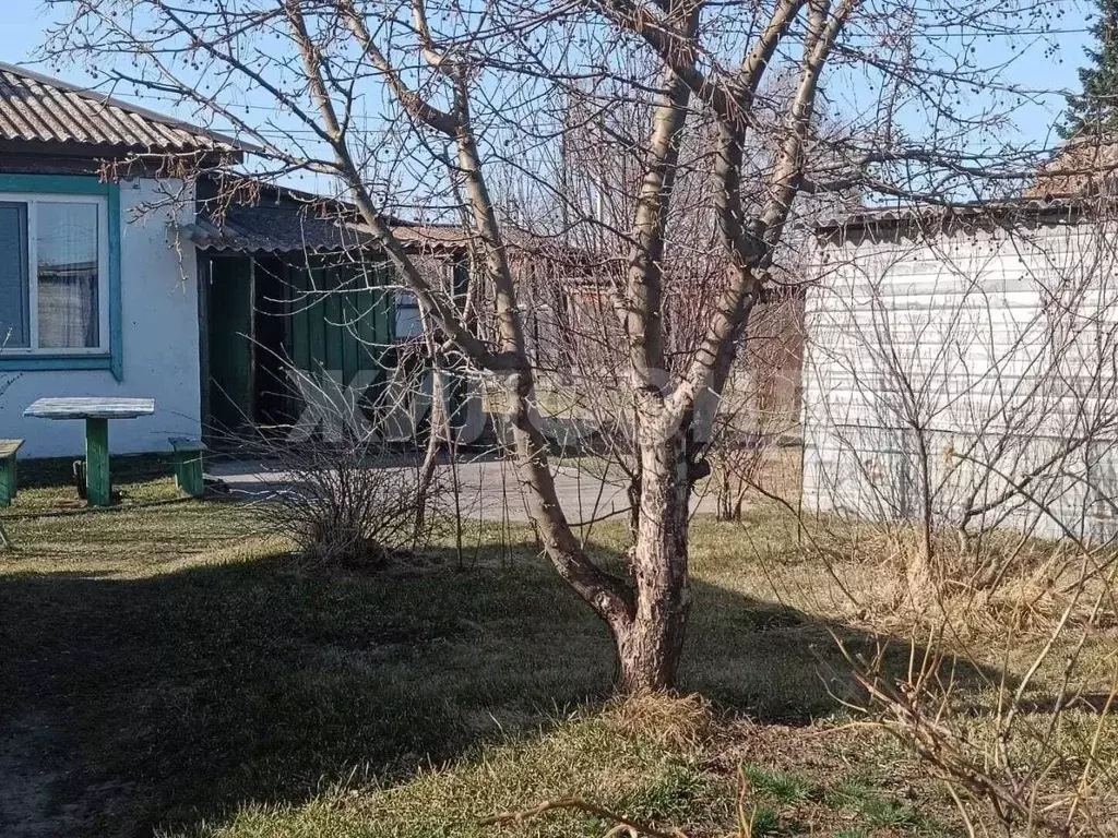 Дом в Хакасия, Усть-Абаканский район, д. Чапаево Молодежная ул. (70 м) - Фото 1