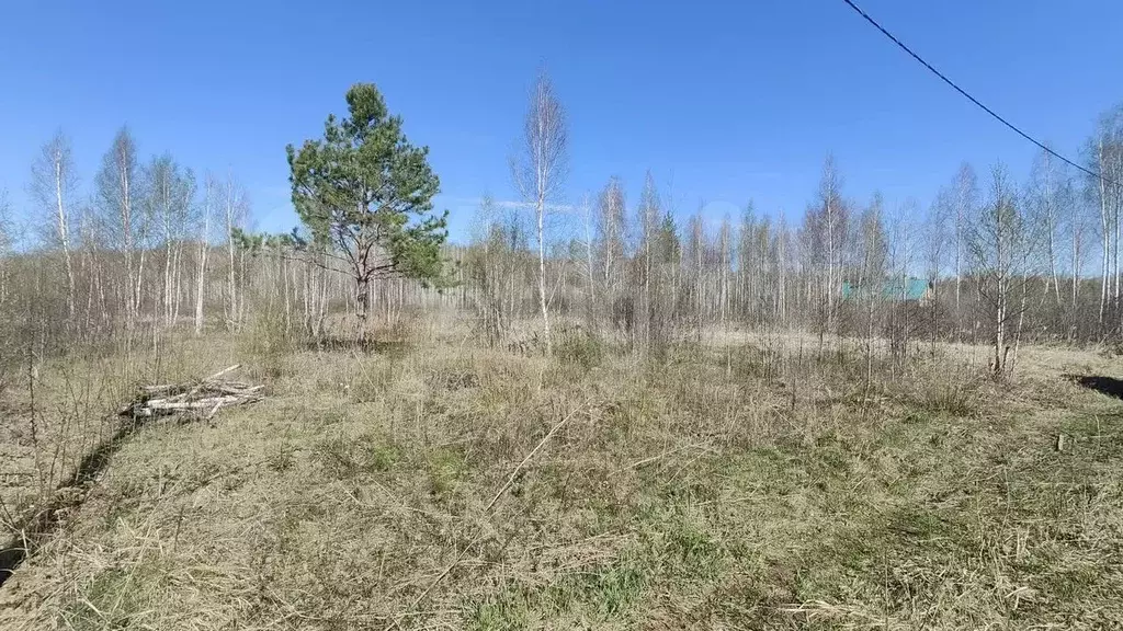 Участок 10 сот. (СНТ, ДНП) - Фото 0