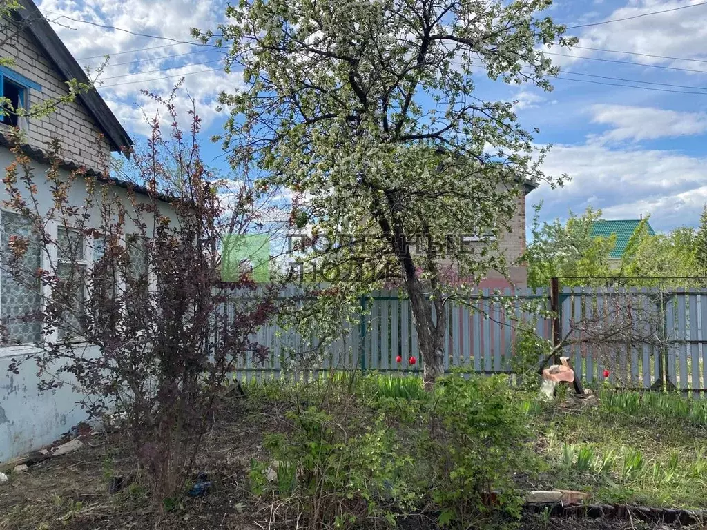 Участок в Самарская область, Красноярский район, Новосемейкино ... - Фото 0