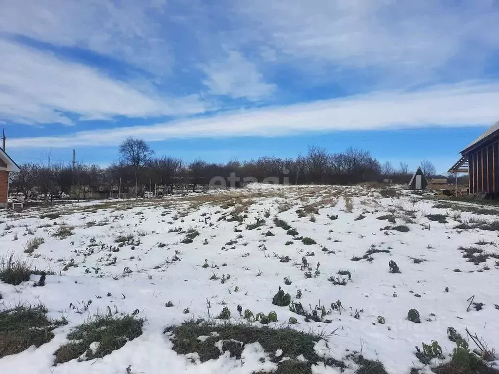 Участок в Белгородская область, Белгородский район, Беловское с/пос, ... - Фото 0