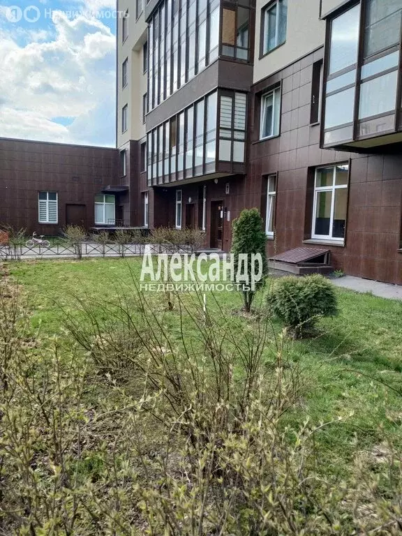 Квартира-студия: Санкт-Петербург, проспект Ветеранов, 169к1 (24.5 м) - Фото 2