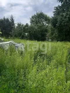 Участок в Брянская область, Брянский район, Новодарковичское с/пос, д. ... - Фото 2
