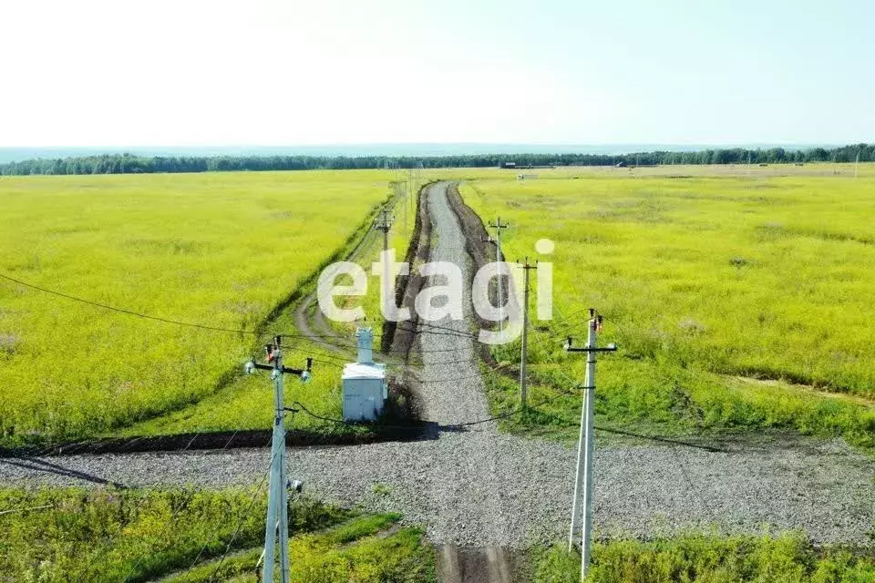 Участок в Красноярский край, Емельяново городское поселение, ... - Фото 1