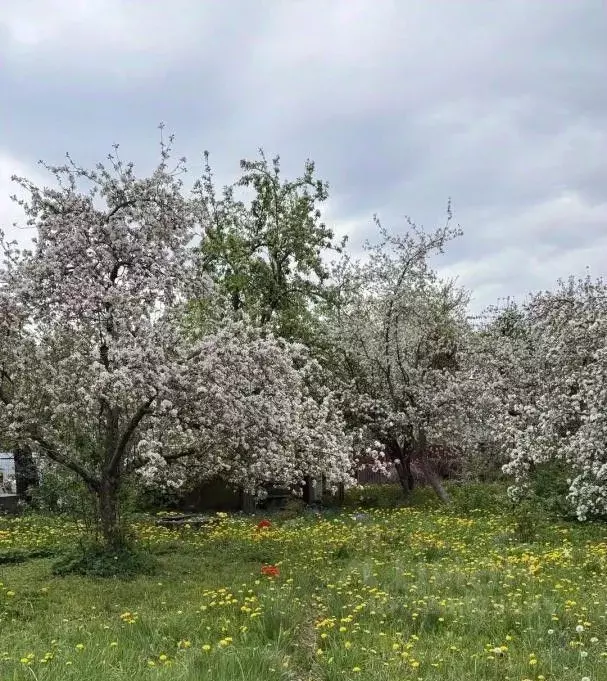 Участок в Калининградская область, Калининград Железнодорожник СНТ, ... - Фото 1