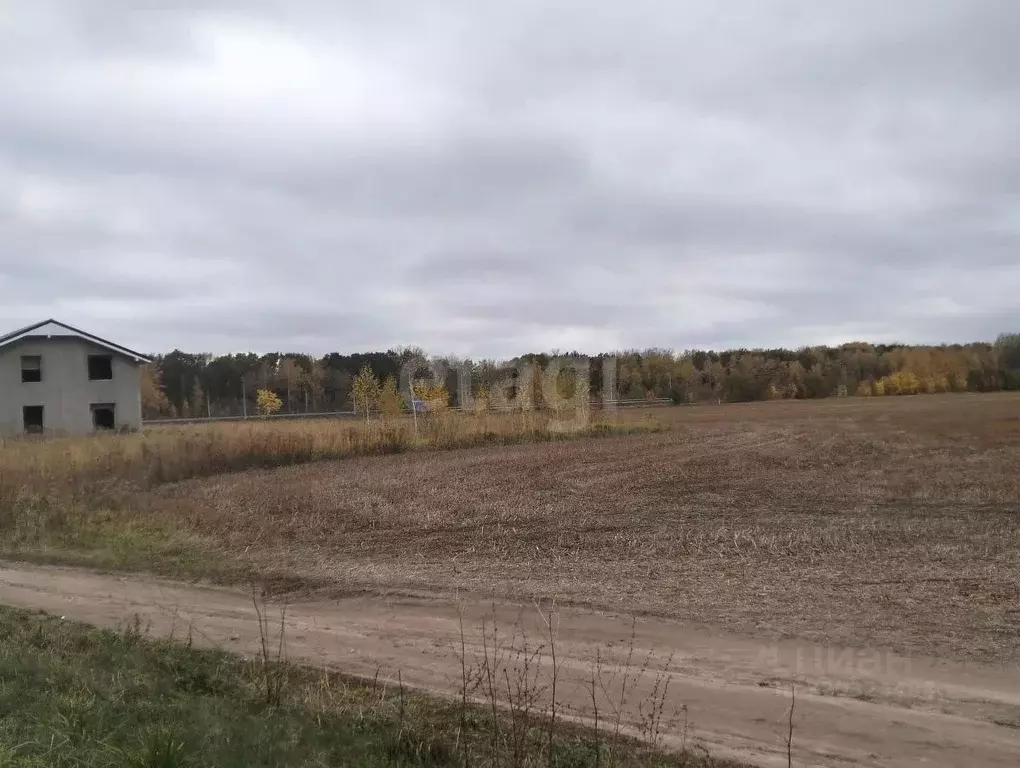Участок в Орловская область, Орловский район, д. Грачевка ул. ... - Фото 0
