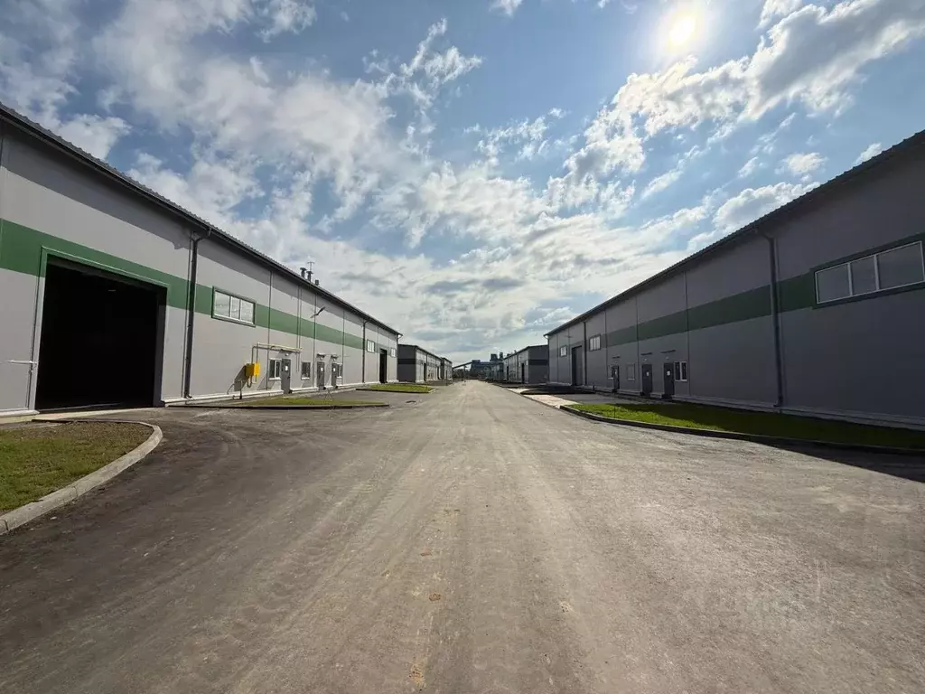 Склад в Московская область, Раменский муниципальный округ, с. Зеленая ... - Фото 2