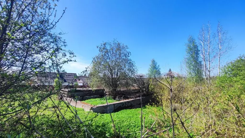 Участок в Новгородская область, Сольцы г. Солецкий муниципальный ... - Фото 1