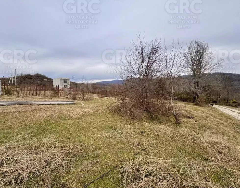Участок в Краснодарский край, Сочи городской округ, с. Красная Воля ... - Фото 0