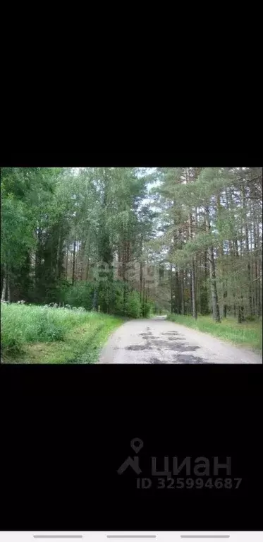 Участок в Псковская область, Печорский муниципальный округ, д. ... - Фото 2