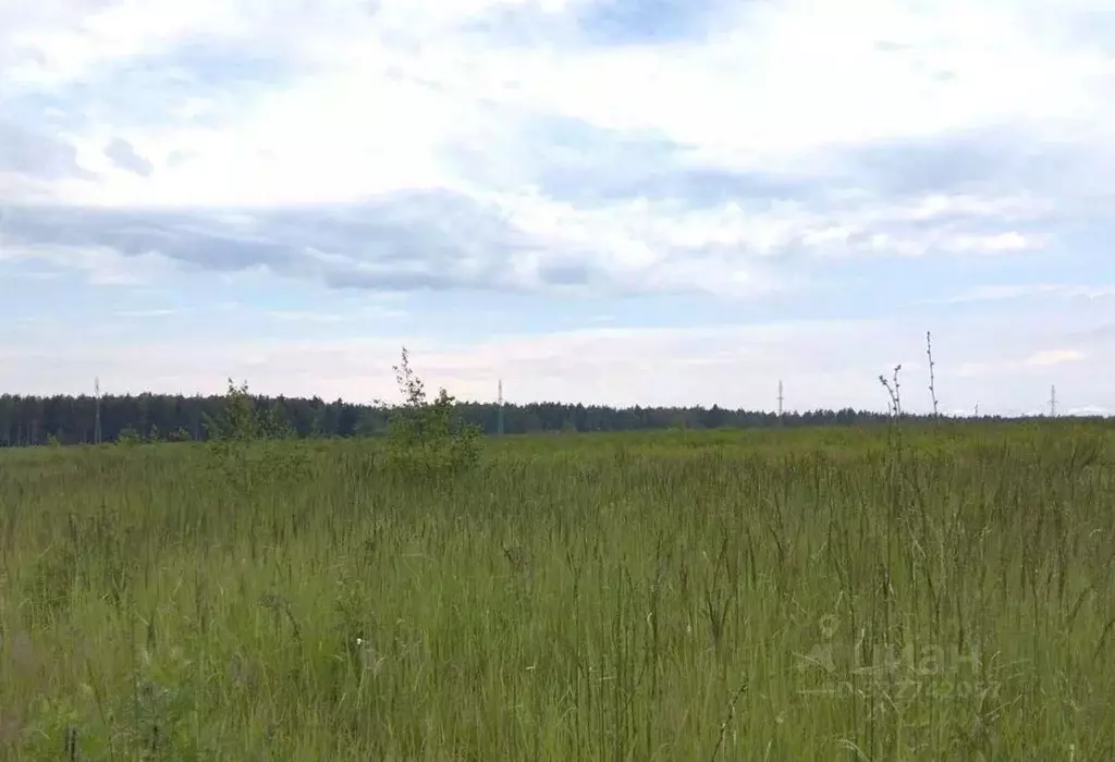 Участок в Московская область, Дмитровский муниципальный округ, д. ... - Фото 1