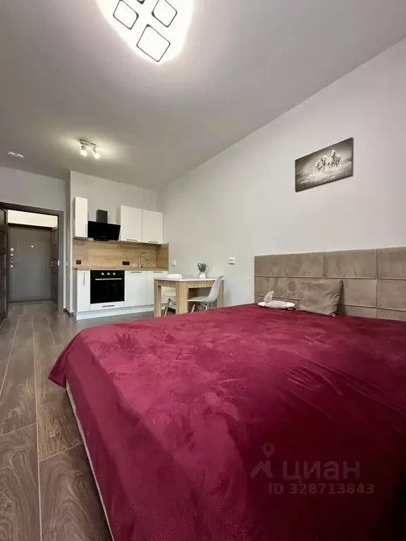 Студия Санкт-Петербург Фарфоровская ул., 7к2 (28.0 м) - Фото 1