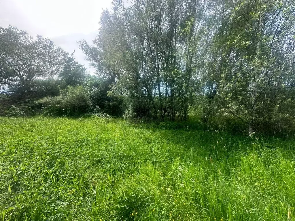 Участок в Московская область, Богородский городской округ, д. ... - Фото 0