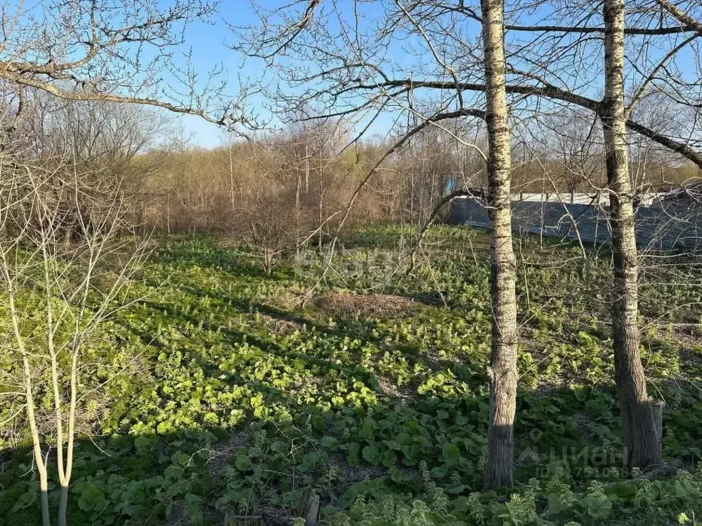 Участок в Сахалинская область, Анивский городской округ, с. Троицкое ... - Фото 1
