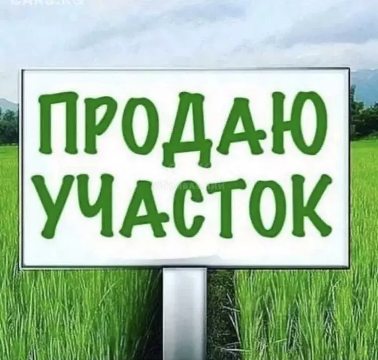 Участок в Саратовская область, Энгельсский район, Красноярское ... - Фото 1