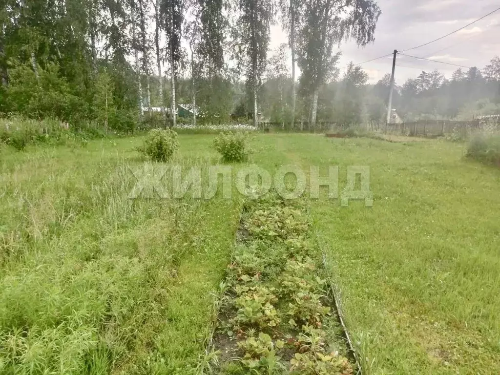 Участок в Новосибирская область, Новосибирский район, Барышевский ... - Фото 0