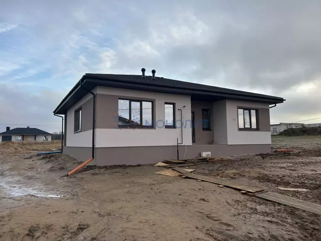 Дом в Нижегородская область, Богородский муниципальный округ, д. ... - Фото 1