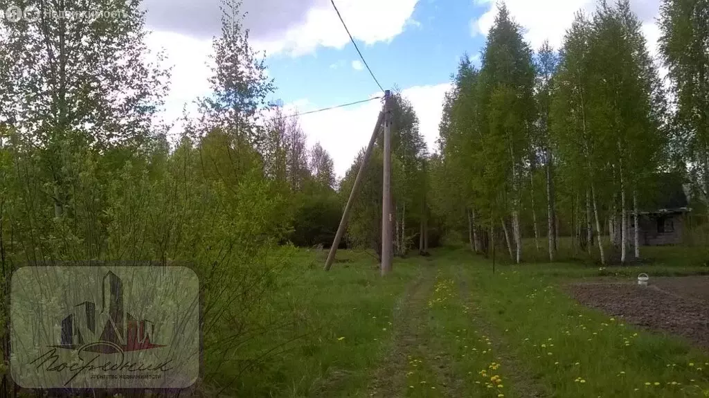 Участок в Вологодский муниципальный округ, деревня Анциферово ... - Фото 0