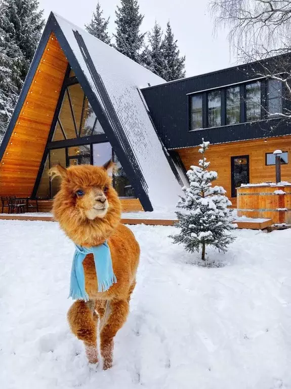 Дом в Московская область, Солнечногорск городской округ, д. Гончары  ... - Фото 1
